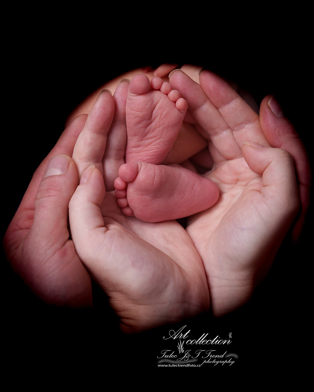 Newborn fotograf Olomouc v newborn fotoateliéru