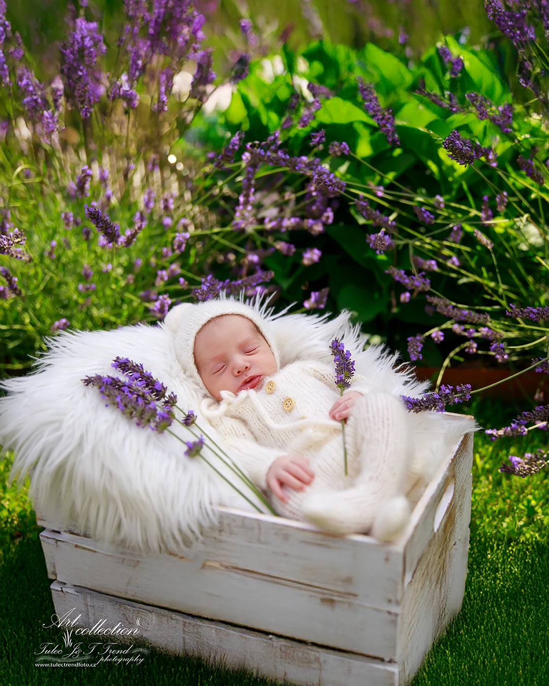 Rodinné focení — Tulec Trend Foto