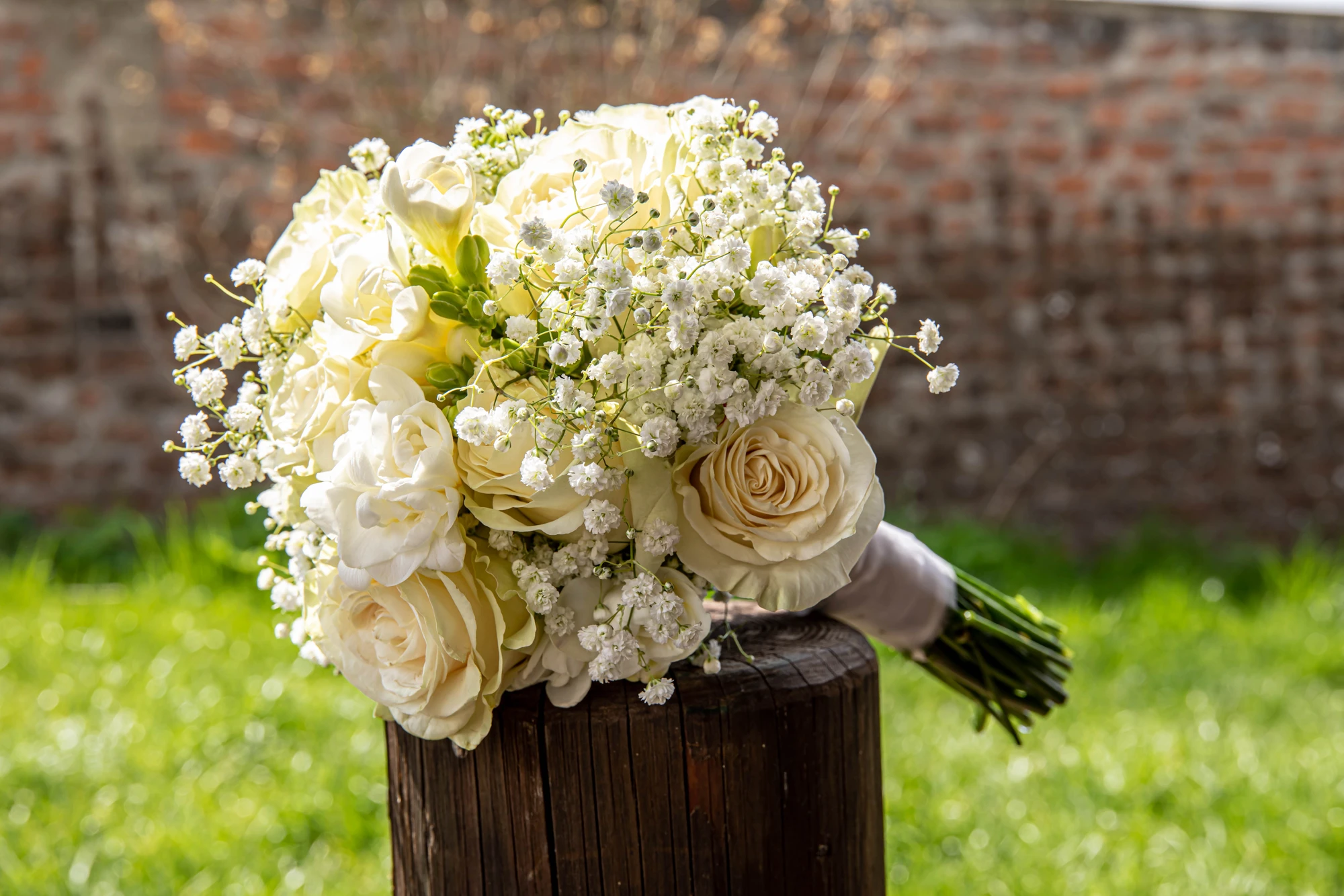 Veselá atmosféra oslavy — Tulec Trend Foto 2023